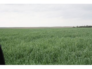 Property photo 71 - LAND AUCTION, 3255+/- Acres offered in 13 Tracts